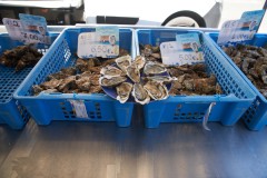 Oliver-von-Guerard-DSC08070-07-2025