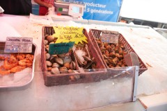 Oliver-von-Guerard-DSC08071-07-2025