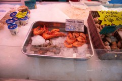 Oliver-von-Guerard-DSC08072-07-2025