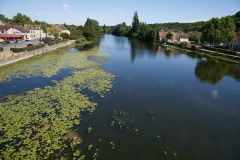 Oliver-von-Guerard-DSC08078-07-2025