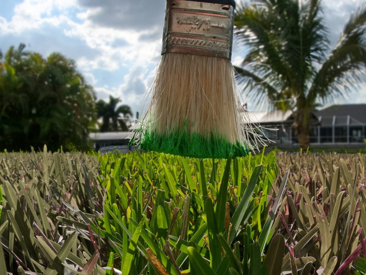 Rasenpflege