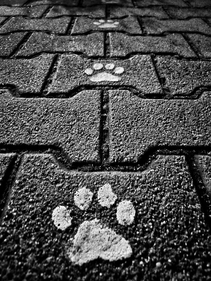 Step by step