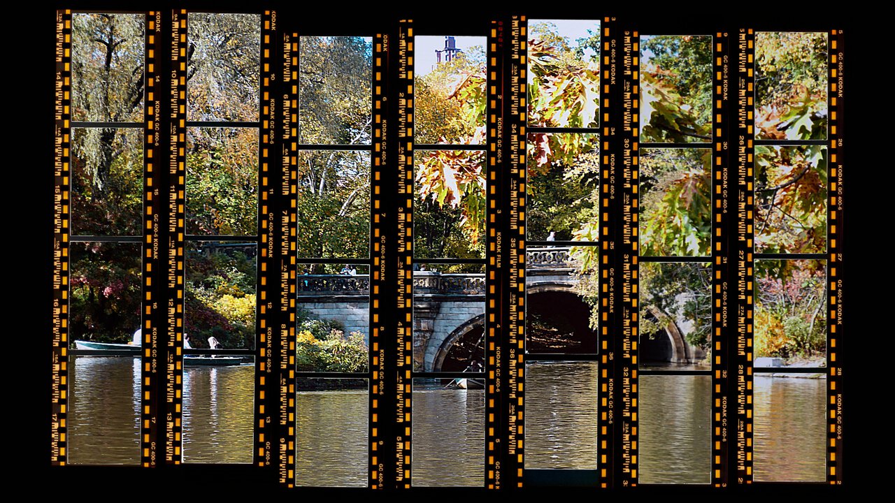 Le pont sur le lac