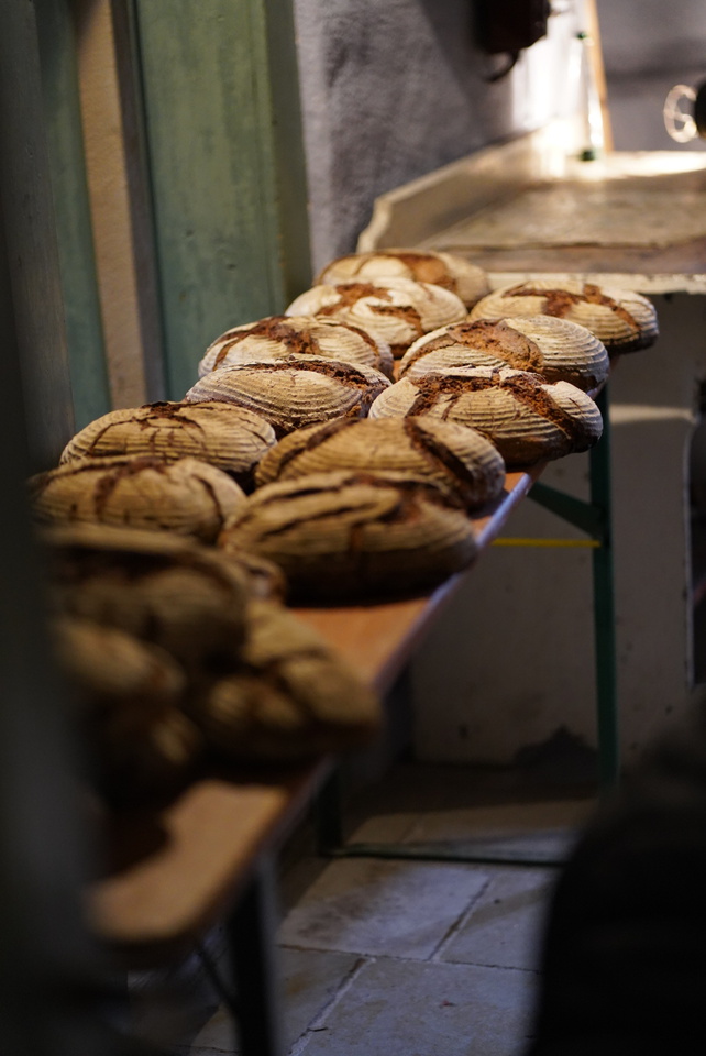 Brotbacktag