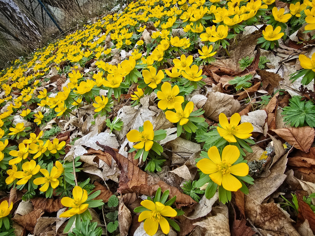 Nature is everywhere