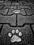 Step by step