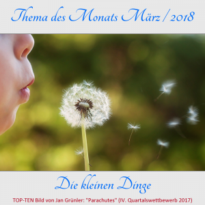 TdM-2018-03-die_kleinen_dinge